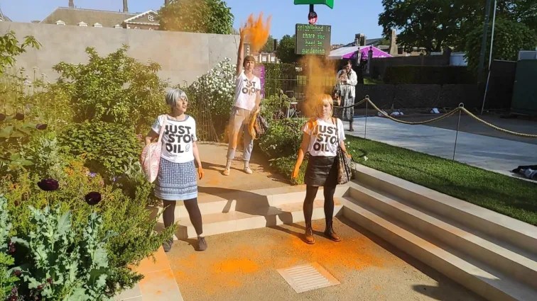 Chelsea Flower Show: Woman Takes Action Against Just Stop Oil Activists, Protecting Award-Winning&nbsp;Garden