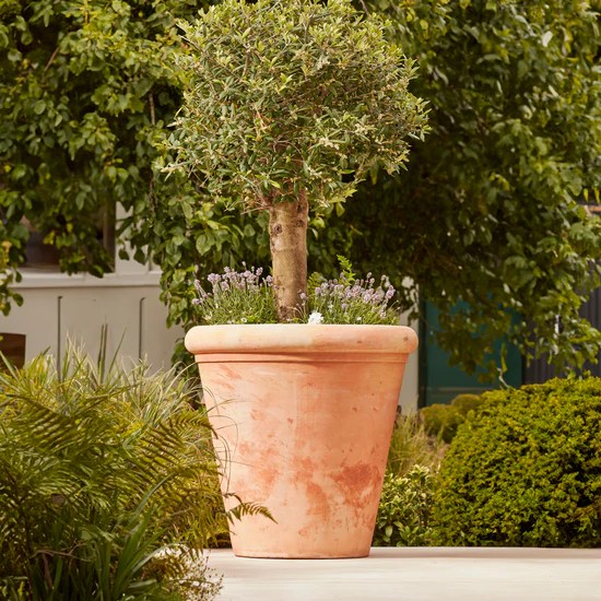 CLAYTON EXTRA LARGE TERRACOTTA PLANT POT