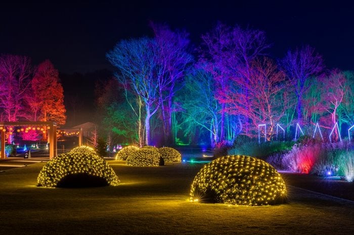 RHS Glow Returns to RHS Garden Bridgewater in Salford with Dazzling New&nbsp;Attractions