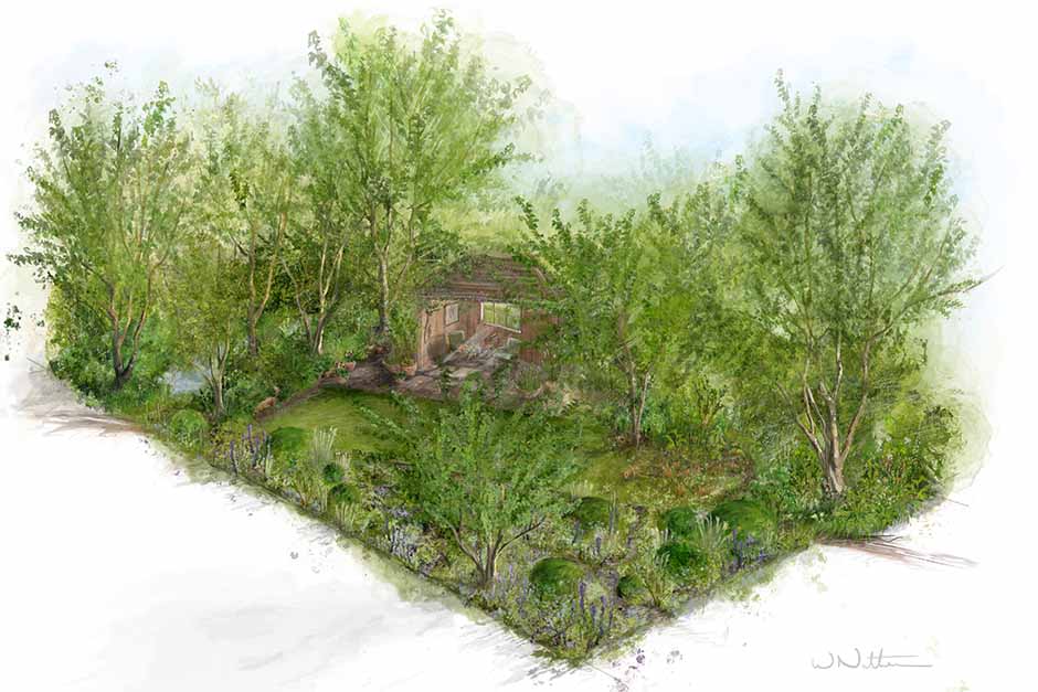 Monty Don’s 2025 Chelsea Garden Celebrates Dogs with Pet-Friendly&nbsp;Design