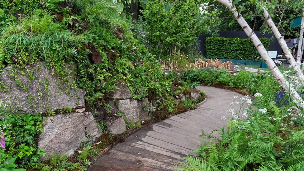 RHS Chelsea Sustainable Excellence Awards&nbsp;2025