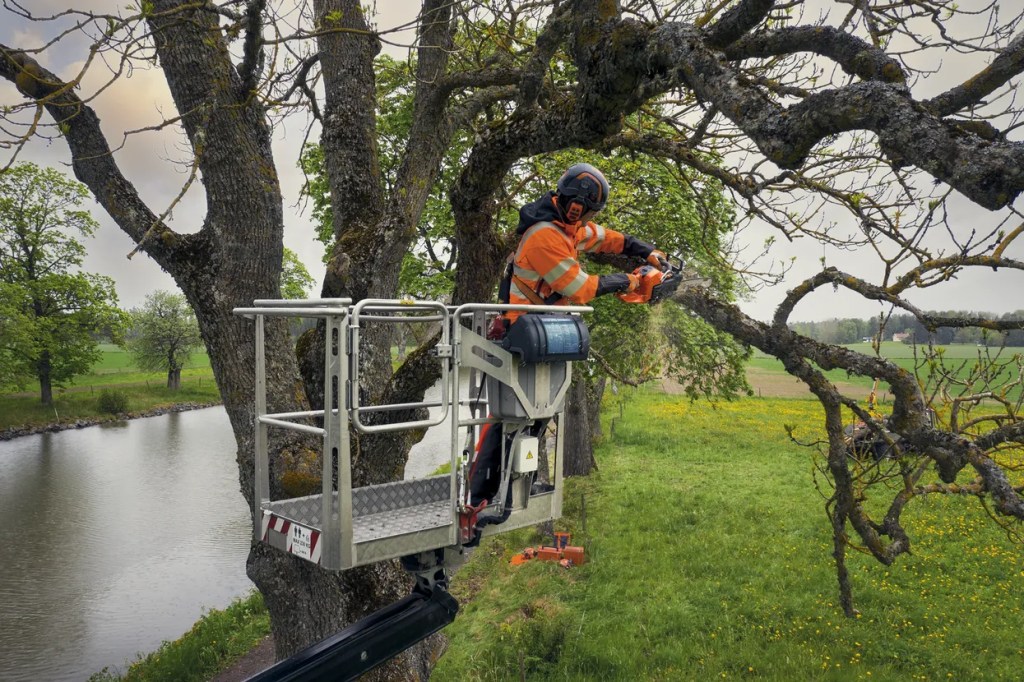 https://www.husqvarna.com/uk/chainsaws/
