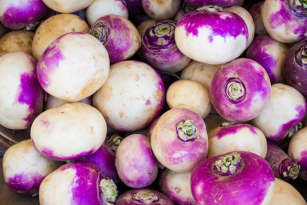 Growing turnips in July