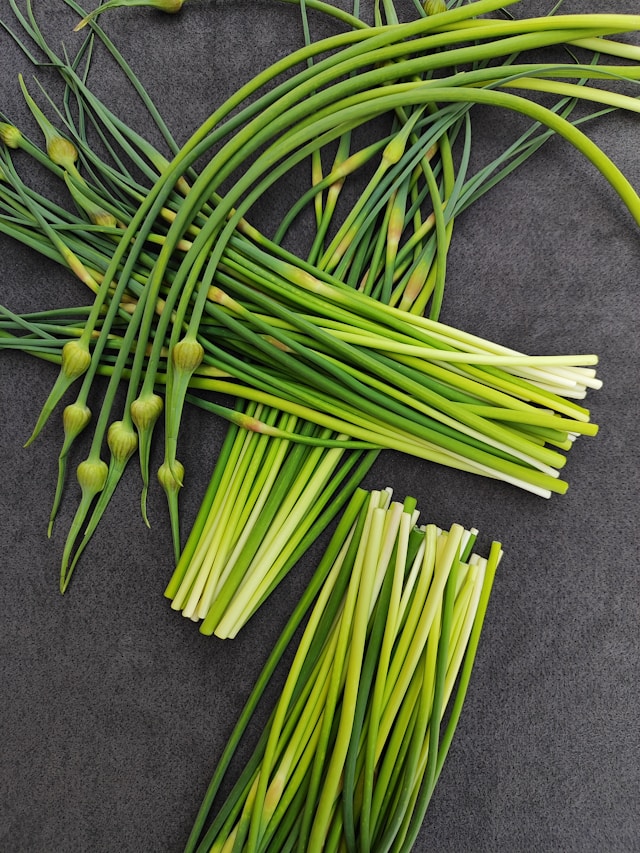 Spring Planting Garlic Guide